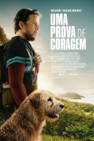 Uma Prova de Coragem (2024) Torrent Dublado Downloads